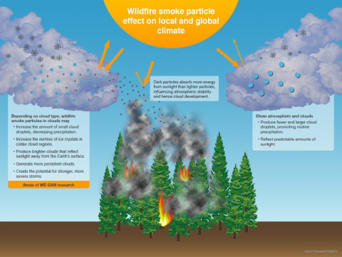 WE-CAN Infographic