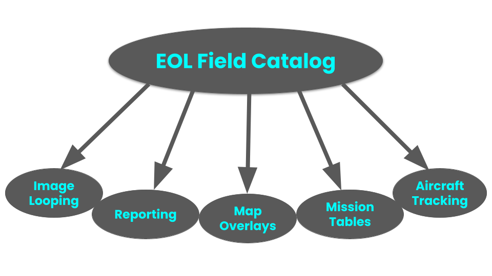 Field Catalog Diagram