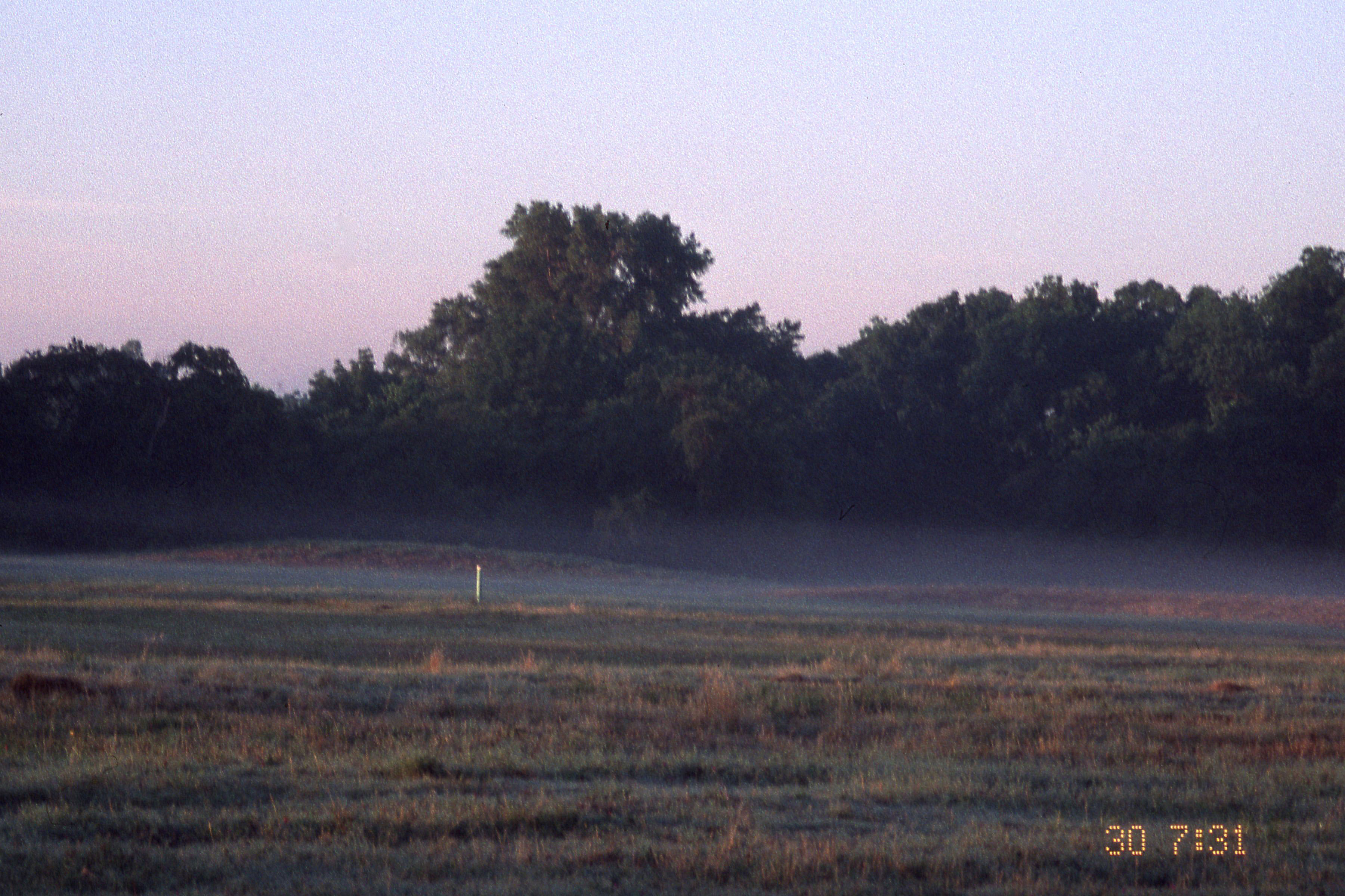 1_Slide26_Fog_Norman_img433.jpg