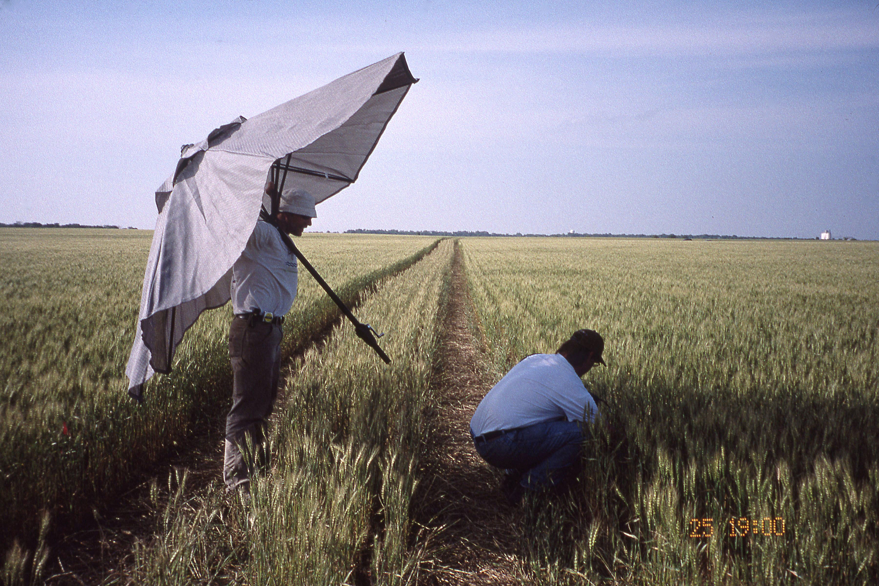 1_slide07_Joe+Josh_NDVI_img419.jpg