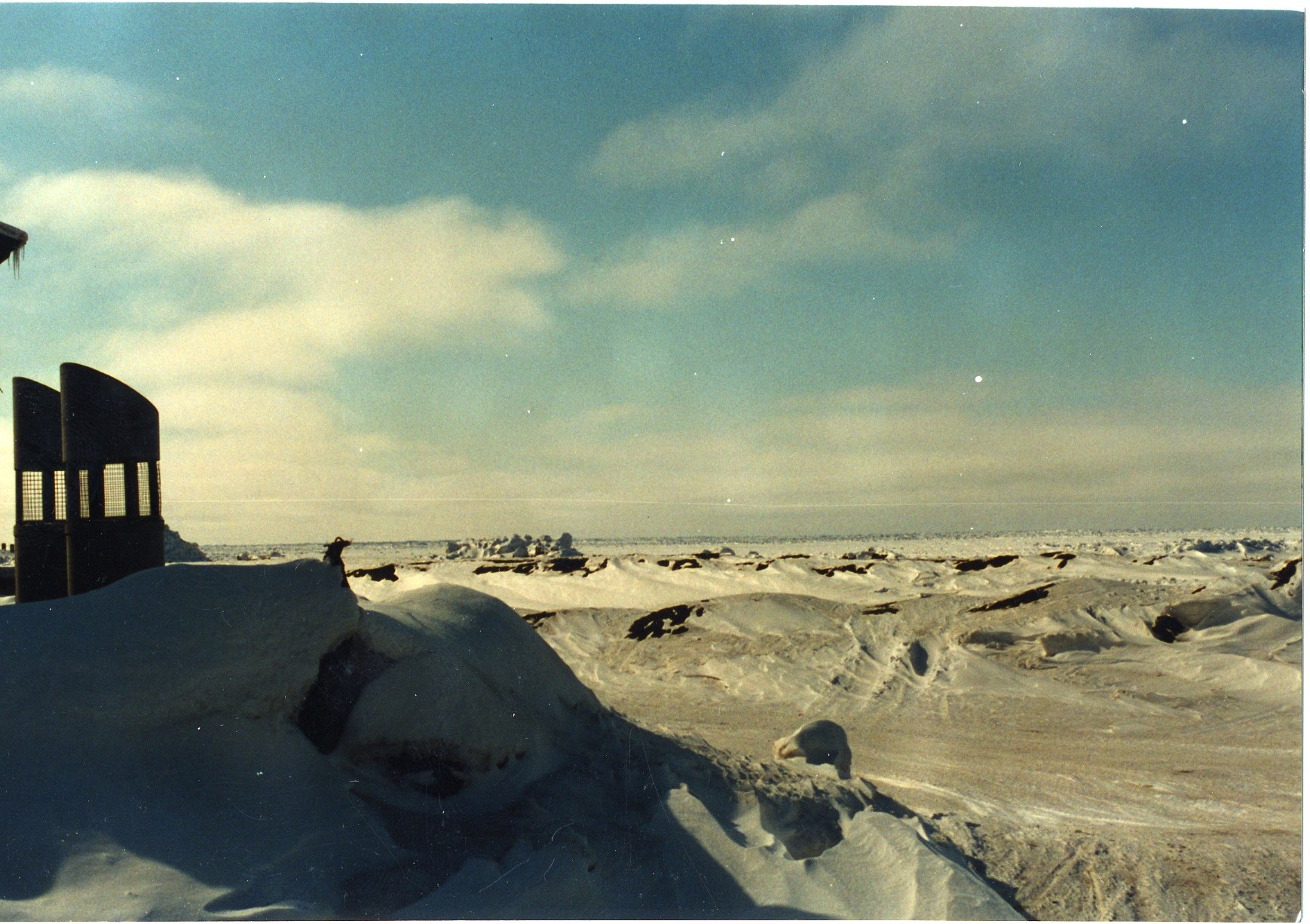 Arctic Coast Behind Polar Haven Espresso.jpg