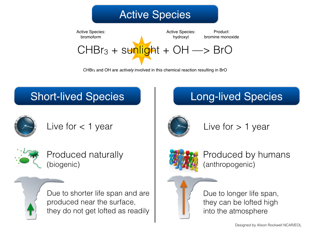 CONTRAST_Species.001.jpg