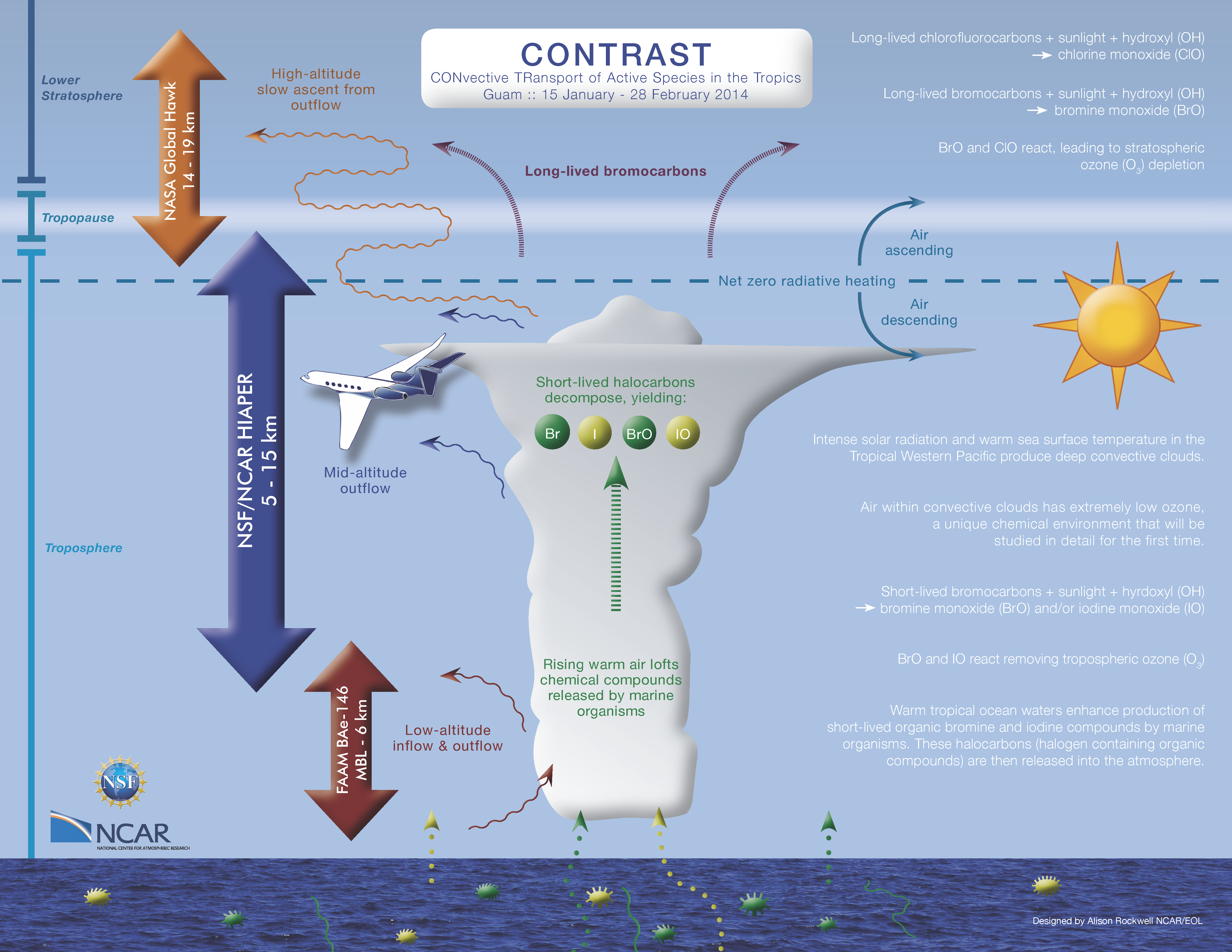 CONTRAST_schematic_f.png