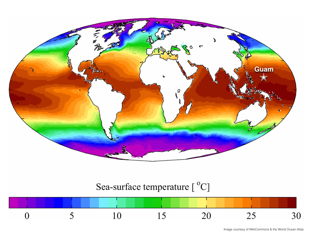 Global_SST.001.jpg