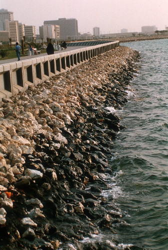 Oil washed ashore along the coast of Kuwait (1991) Photos courtesy of Robert Bumpas.png