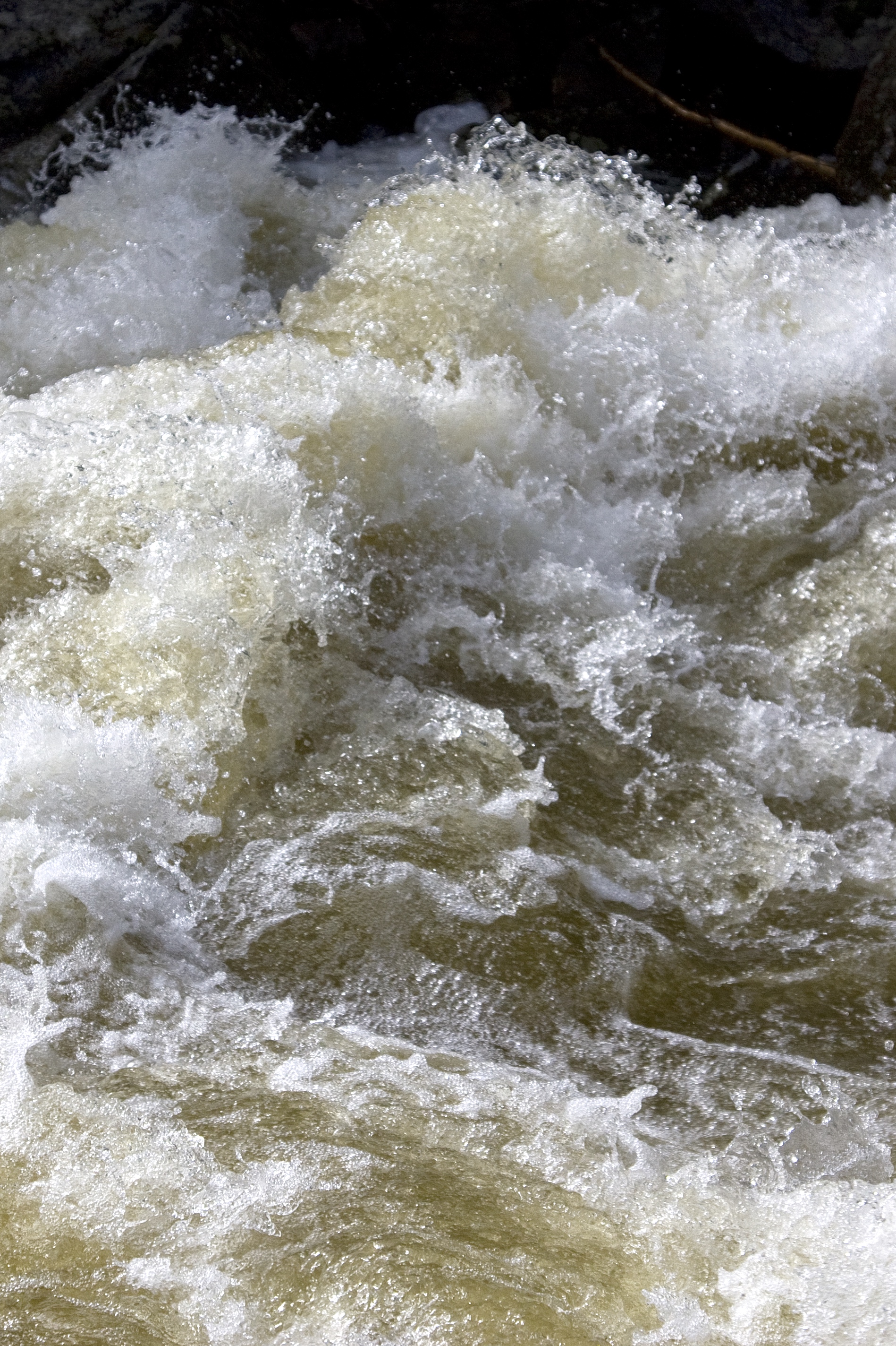 Spring runoff, Boulder Creek (DI02187).jpg