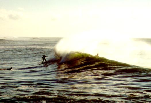 Surfers off of the South Jetty at Westhaven State Park (S-Pol site).jpg