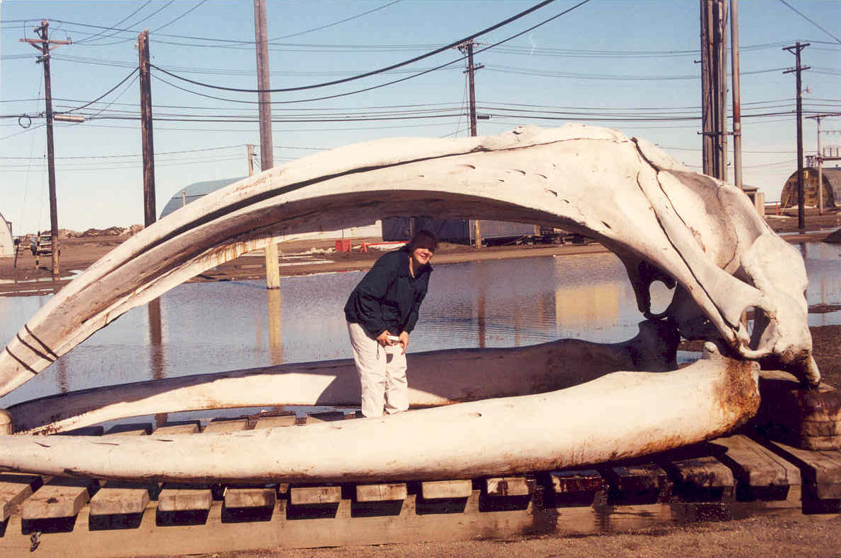 Suzie in the jaws of a whale.jpg