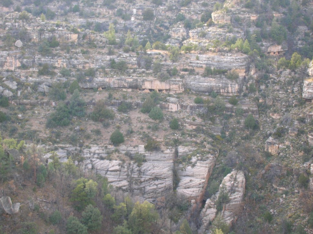 WalnutCanyon3.jpg