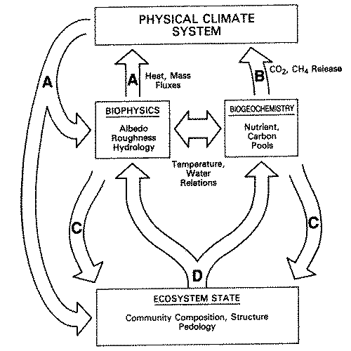 fig2.gif