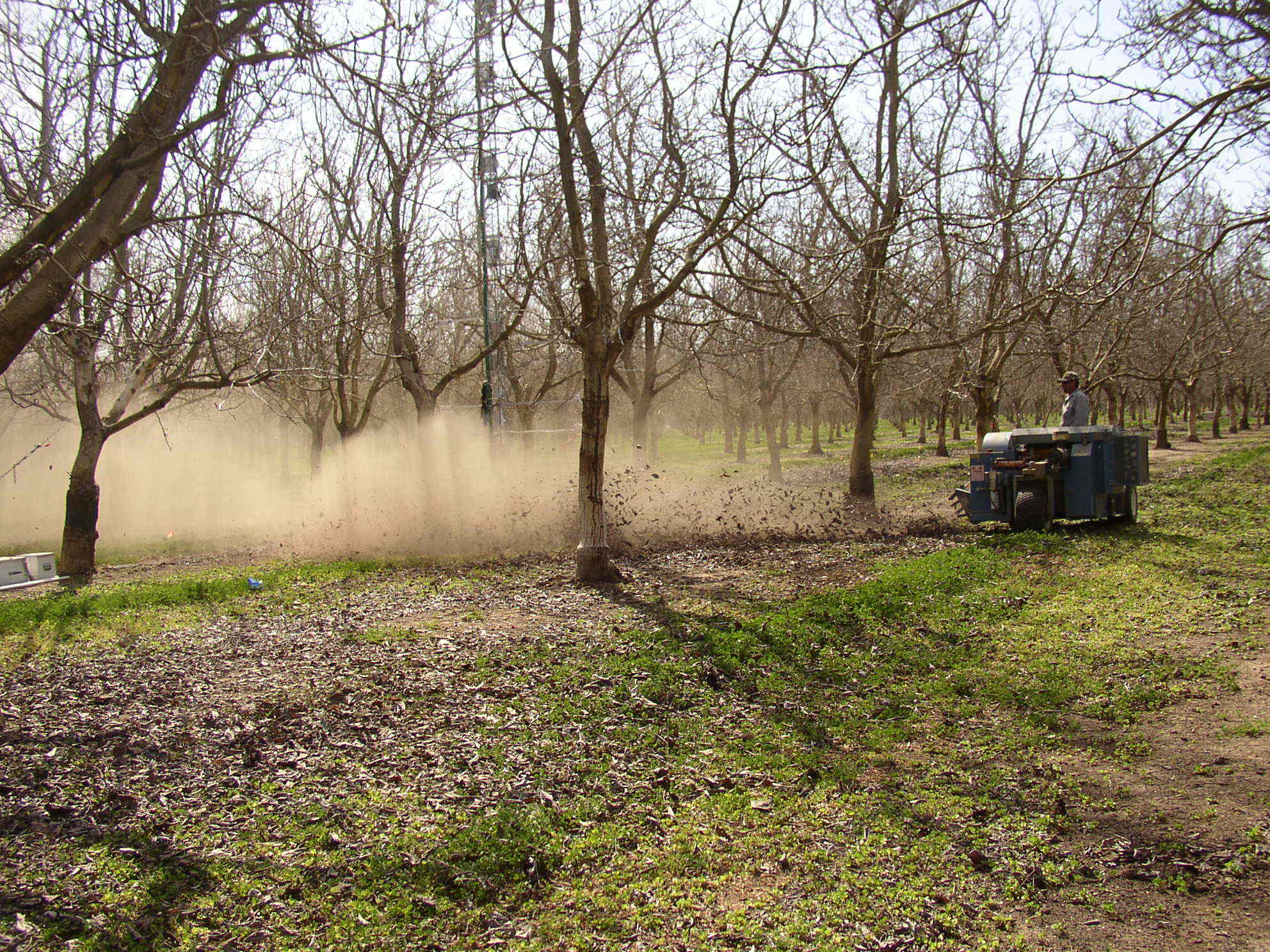 leafblower1.JPG