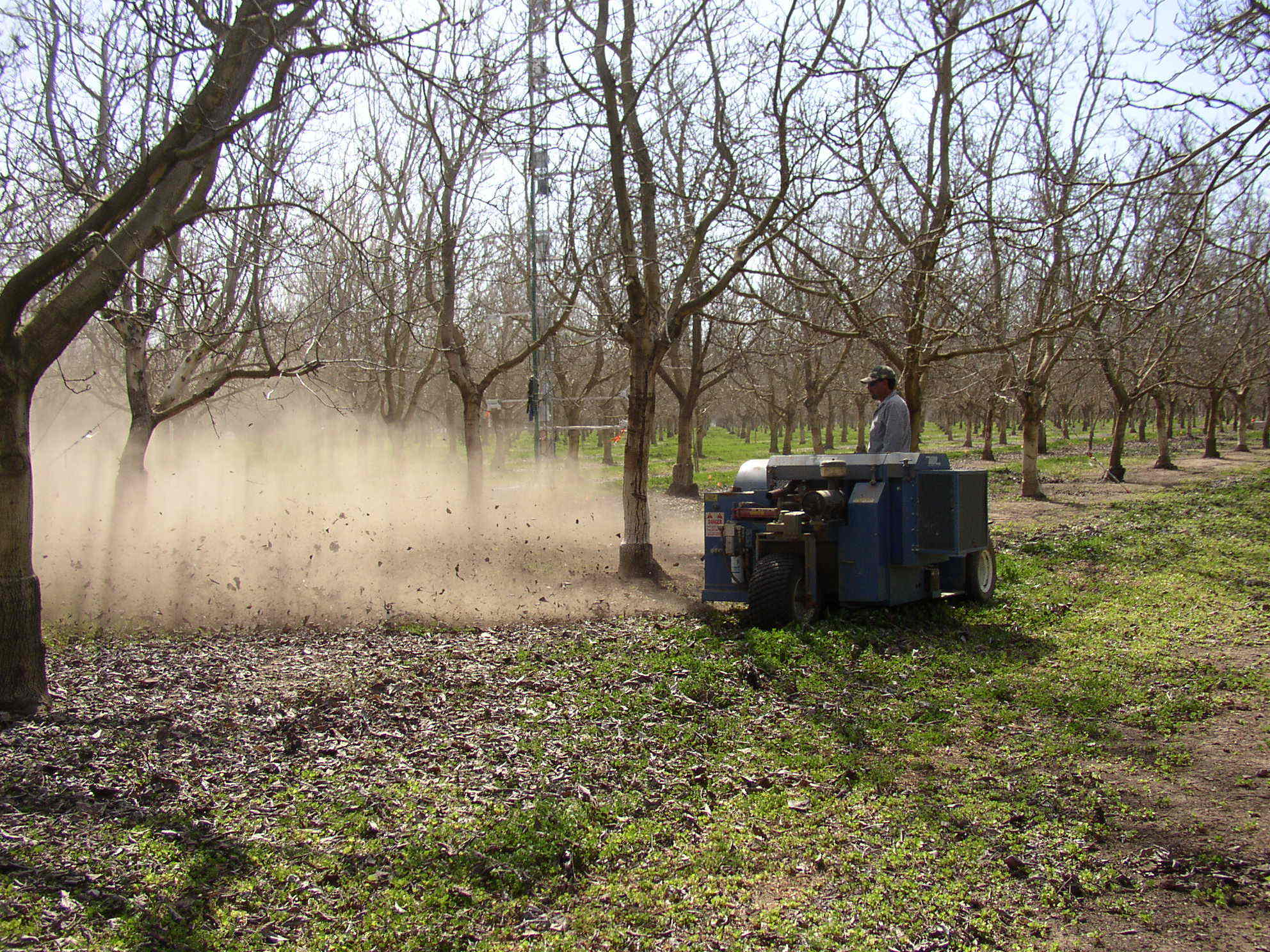 leafblower2.JPG