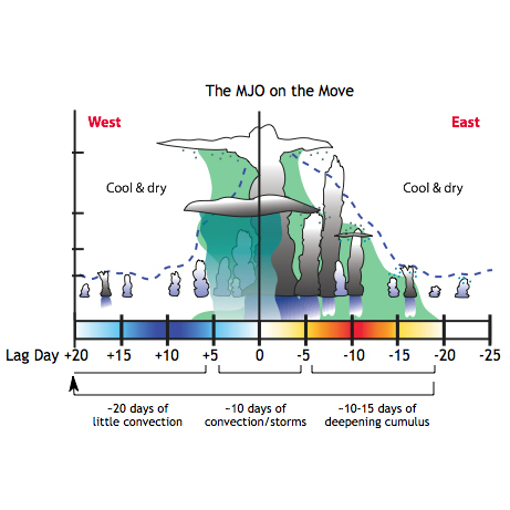 mjo_CMMAP.jpg